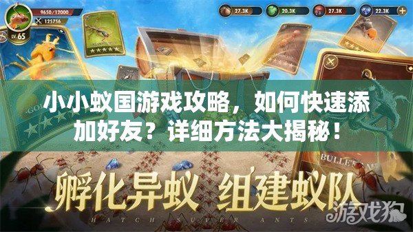 小小蟻國(guó)游戲攻略，如何快速添加好友？詳細(xì)方法大揭秘！