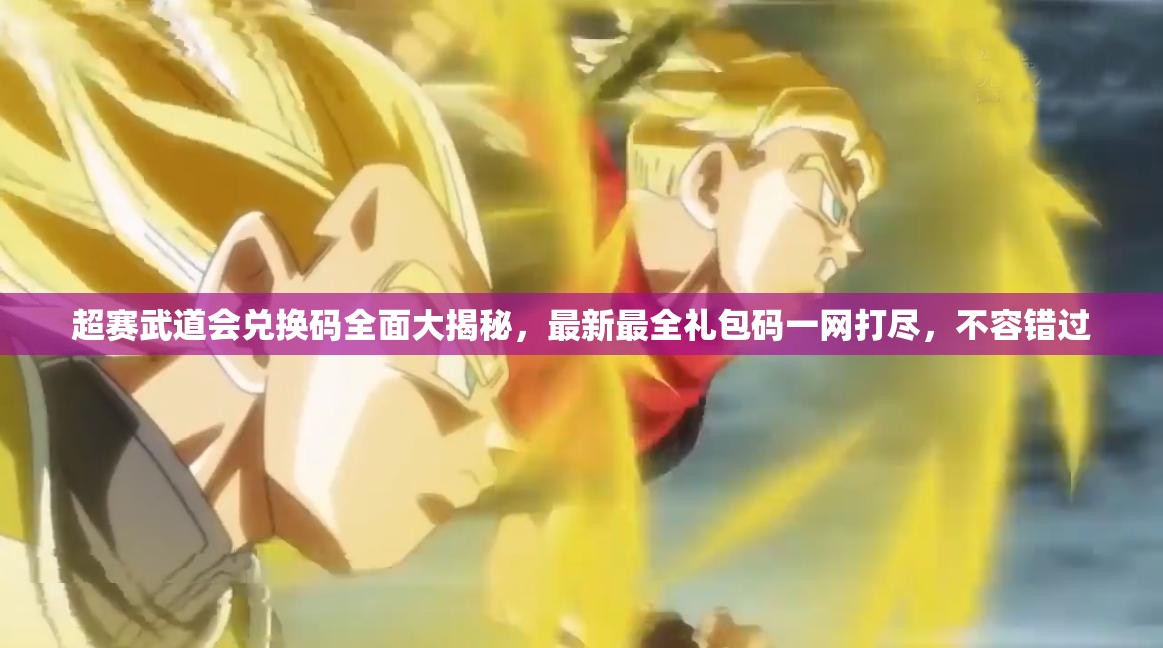 超賽武道會(huì)兌換碼全面大揭秘，最新最全禮包碼一網(wǎng)打盡，不容錯(cuò)過