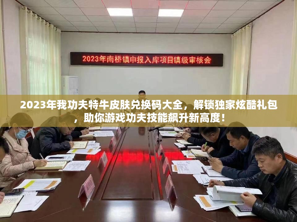 2023年我功夫特牛皮膚兌換碼大全，解鎖獨(dú)家炫酷禮包，助你游戲功夫技能飆升新高度！