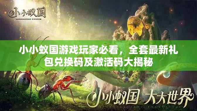 小小蟻國游戲玩家必看，全套最新禮包兌換碼及激活碼大揭秘