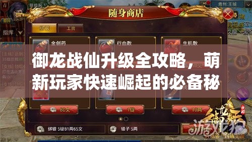 御龍戰(zhàn)仙升級(jí)全攻略，萌新玩家快速崛起的必備秘籍與技巧