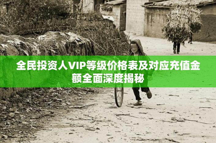 全民投資人VIP等級(jí)價(jià)格表及對(duì)應(yīng)充值金額全面深度揭秘