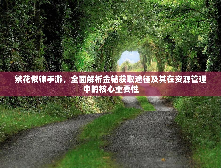 繁花似錦手游，全面解析金鉆獲取途徑及其在資源管理中的核心重要性