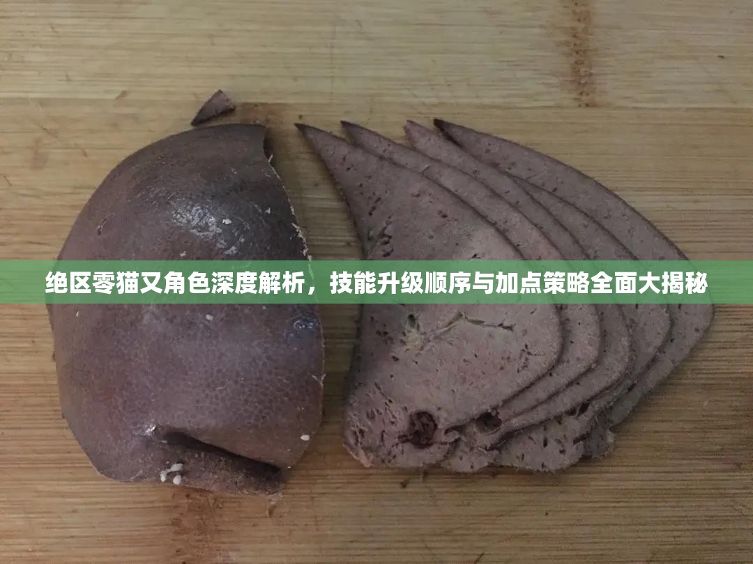 絕區(qū)零貓又角色深度解析，技能升級(jí)順序與加點(diǎn)策略全面大揭秘