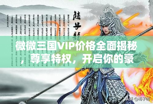 微微三國VIP價(jià)格全面揭秘，尊享特權(quán)，開啟你的豪華三國游戲之旅