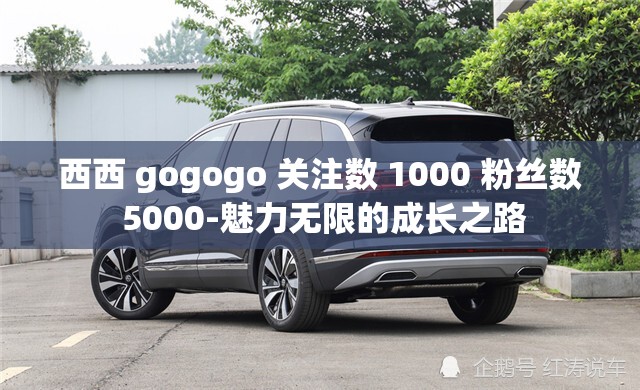 西西 gogogo 關(guān)注數(shù) 1000 粉絲數(shù) 5000-魅力無限的成長之路