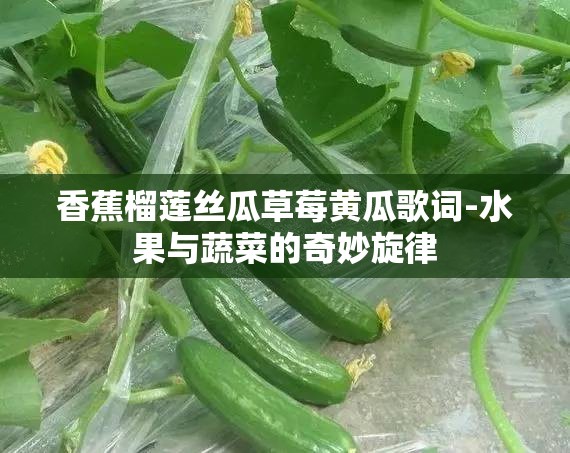 香蕉榴蓮絲瓜草莓黃瓜歌詞-水果與蔬菜的奇妙旋律