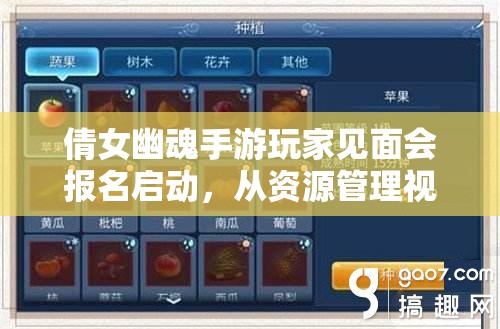 倩女幽魂手游玩家見面會報名啟動，從資源管理視角深度解析活動籌備