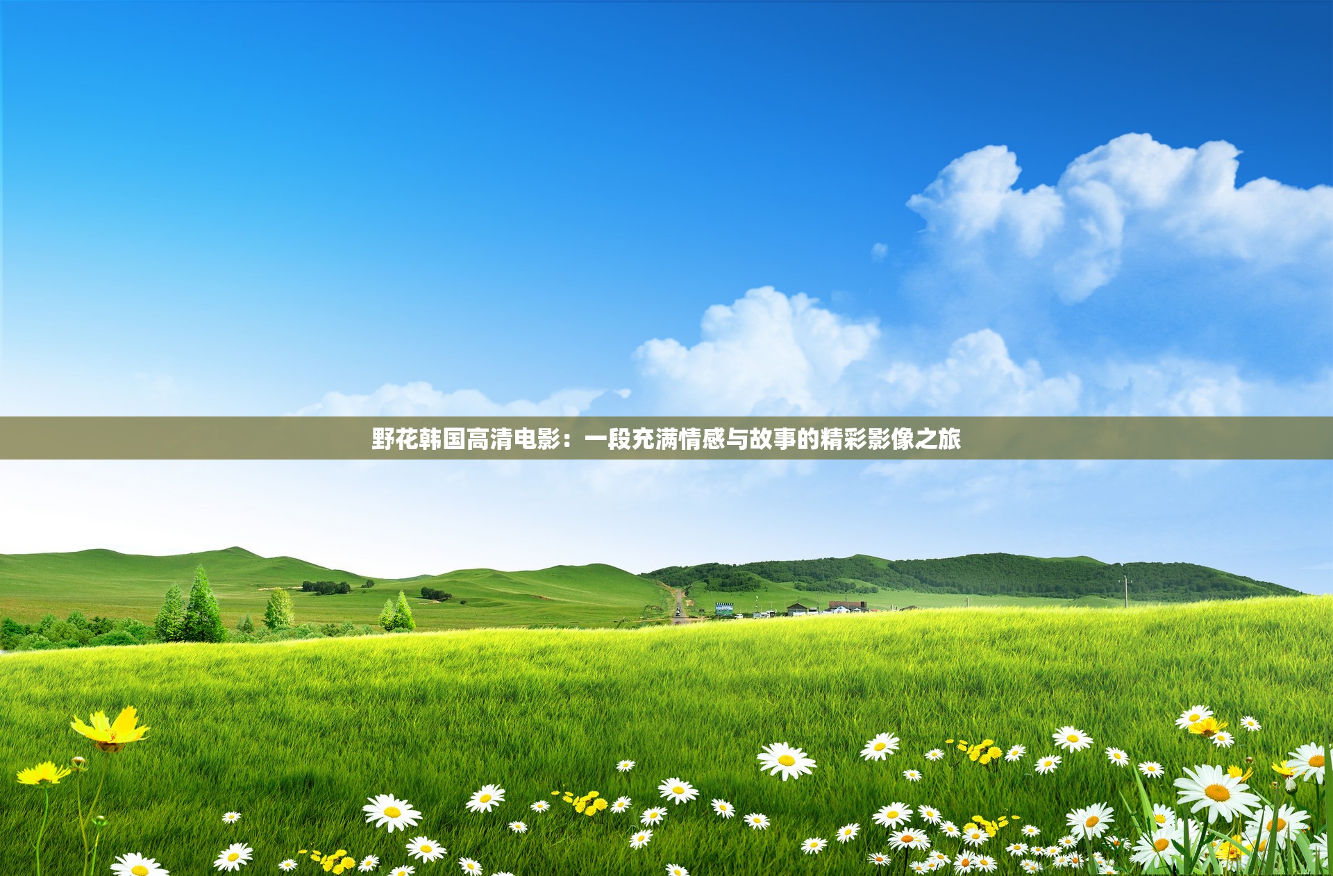 野花韓國(guó)高清電影：一段充滿情感與故事的精彩影像之旅