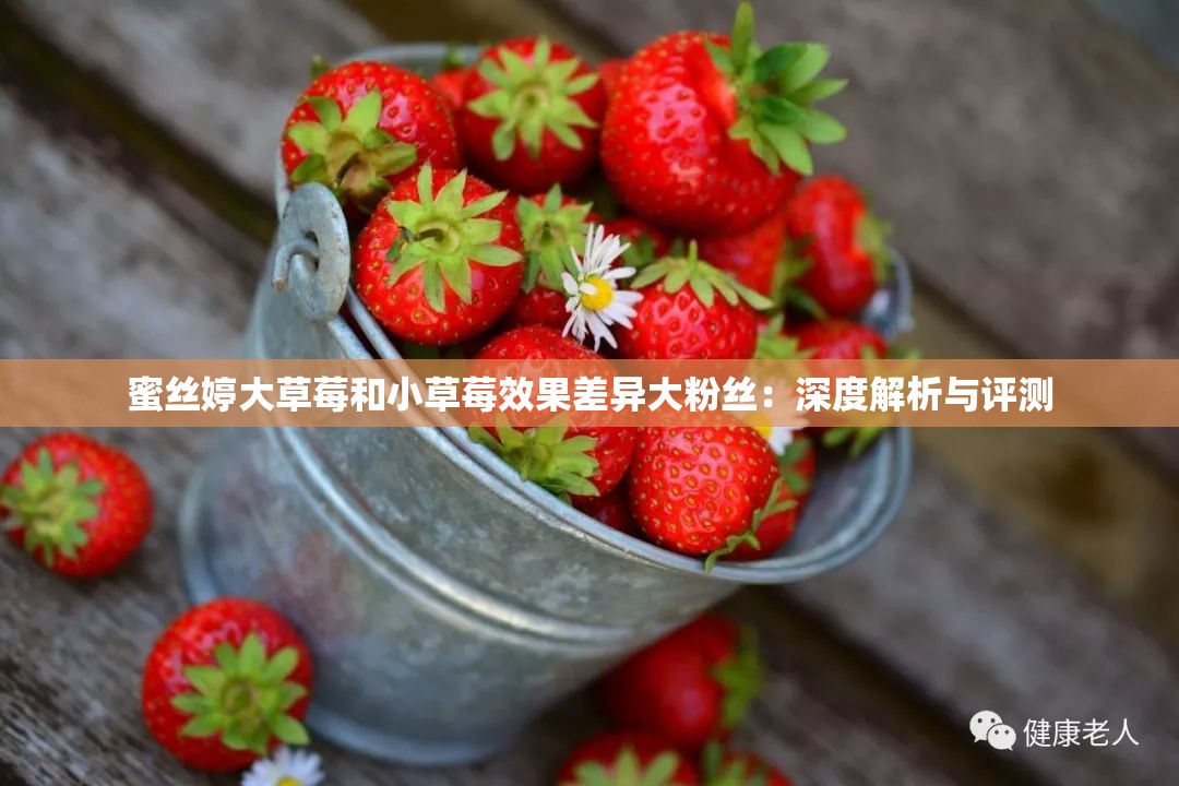 蜜絲婷大草莓和小草莓效果差異大粉絲：深度解析與評(píng)測