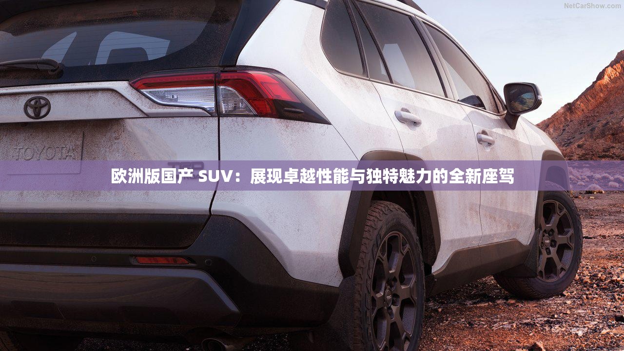 歐洲版國產(chǎn) SUV：展現(xiàn)卓越性能與獨(dú)特魅力的全新座駕