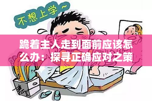 跪著主人走到面前應該怎么辦：探尋正確應對之策與原則