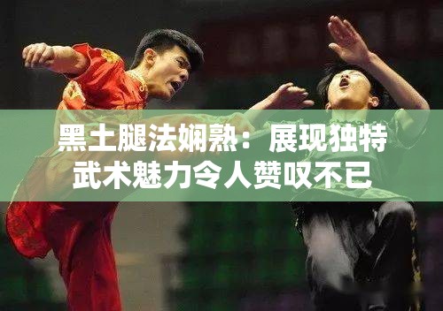 黑土腿法嫻熟：展現(xiàn)獨特武術(shù)魅力令人贊嘆不已