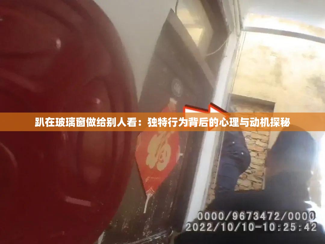 趴在玻璃窗做給別人看：獨(dú)特行為背后的心理與動(dòng)機(jī)探秘