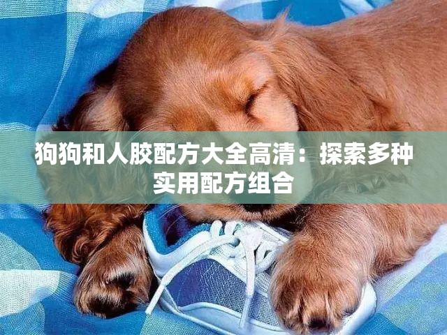 狗狗和人膠配方大全高清：探索多種實用配方組合