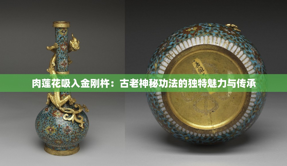 肉蓮花吸入金剛杵：古老神秘功法的獨特魅力與傳承