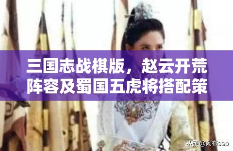 三國志戰(zhàn)棋版，趙云開荒陣容及蜀國五虎將搭配策略深度剖析