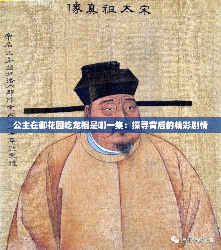 公主在御花園吃龍棍是哪一集：探尋背后的精彩劇情