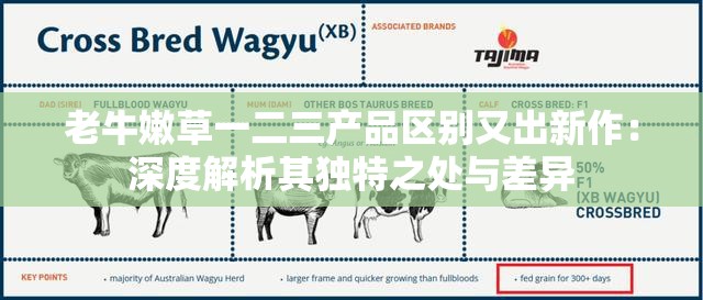 老牛嫩草一二三產(chǎn)品區(qū)別又出新作：深度解析其獨特之處與差異