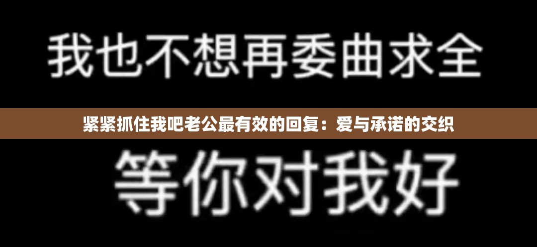 緊緊抓住我吧老公最有效的回復(fù)：愛(ài)與承諾的交織