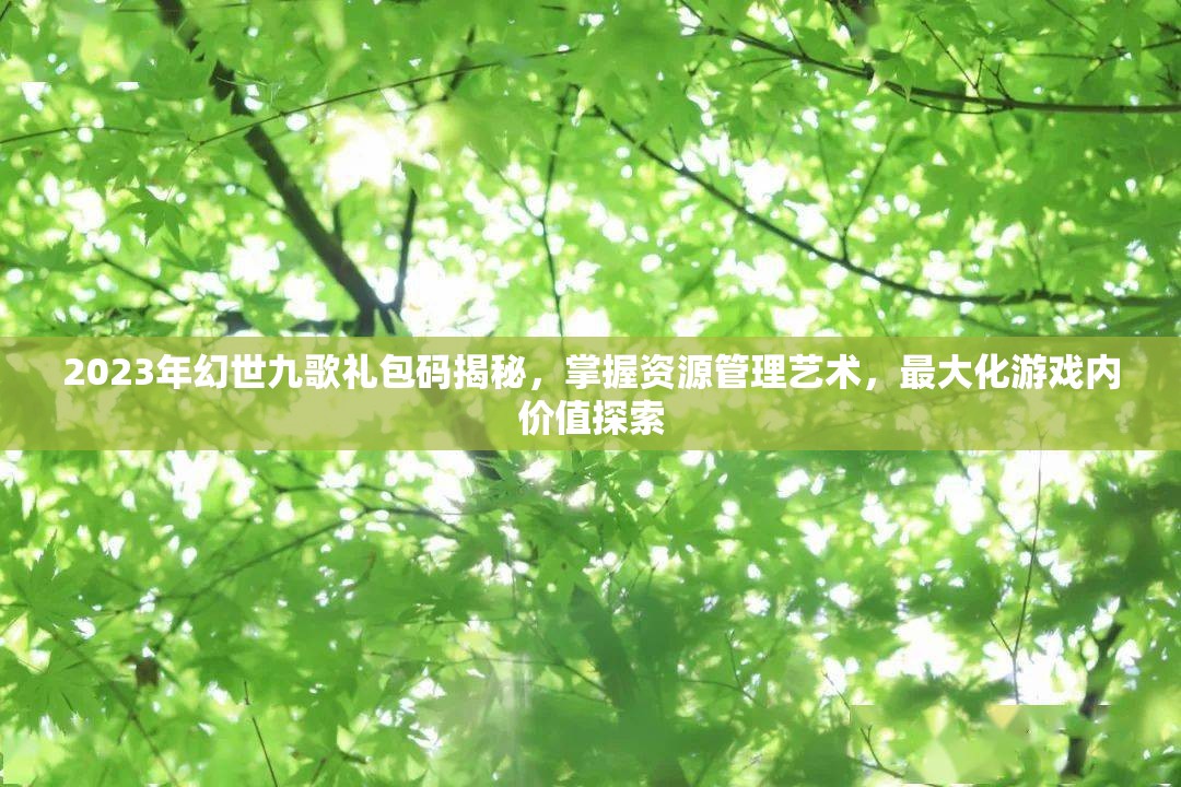 2023年幻世九歌禮包碼揭秘，掌握資源管理藝術(shù)，最大化游戲內(nèi)價值探索