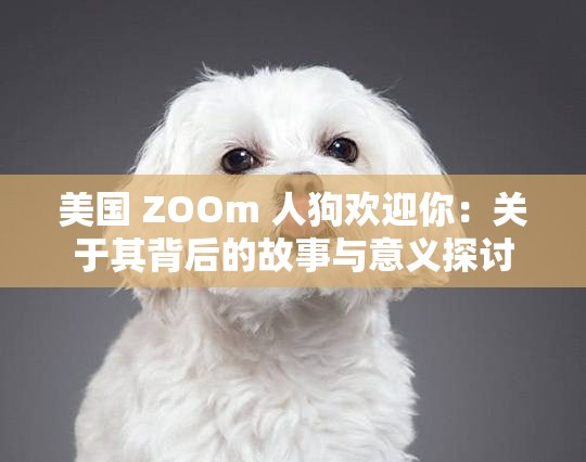 美國 ZOOm 人狗歡迎你：關(guān)于其背后的故事與意義探討