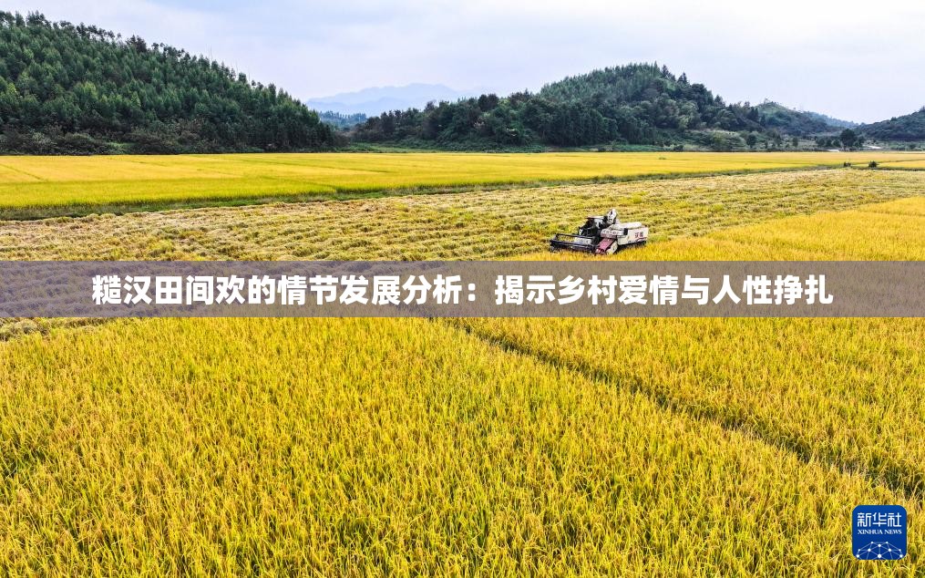 糙漢田間歡的情節(jié)發(fā)展分析：揭示鄉(xiāng)村愛情與人性掙扎