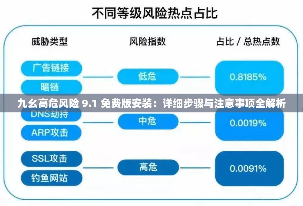 九幺高危風(fēng)險(xiǎn) 9.1 免費(fèi)版安裝：詳細(xì)步驟與注意事項(xiàng)全解析
