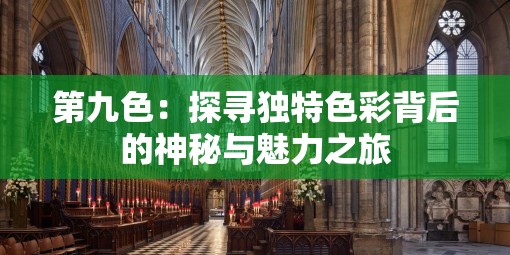 第九色：探尋獨(dú)特色彩背后的神秘與魅力之旅