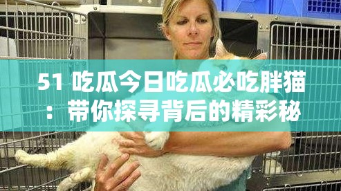 51 吃瓜今日吃瓜必吃胖貓：帶你探尋背后的精彩秘密