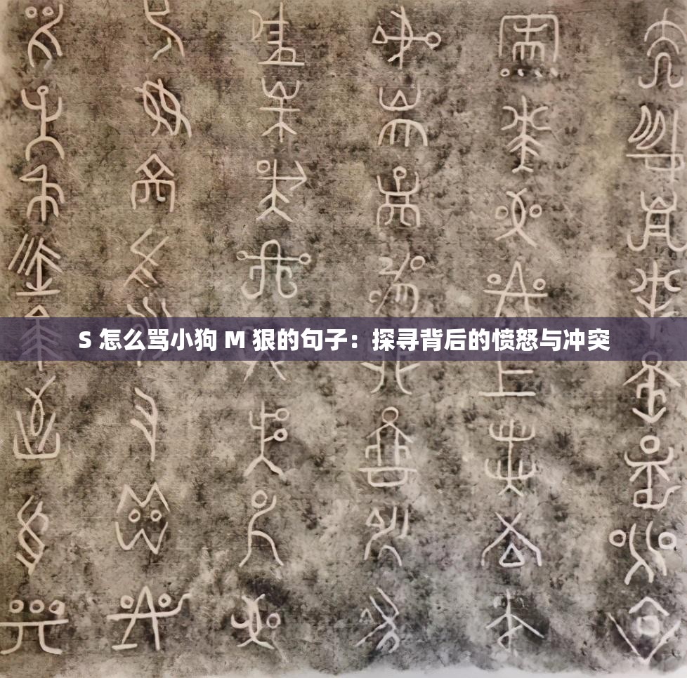 S 怎么罵小狗 M 狠的句子：探尋背后的憤怒與沖突