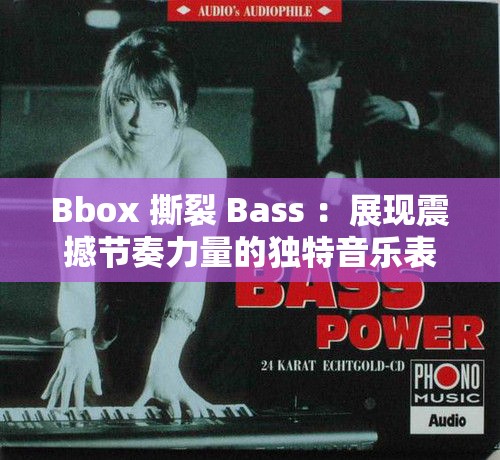 Bbox 撕裂 Bass ：展現(xiàn)震撼節(jié)奏力量的獨特音樂表演