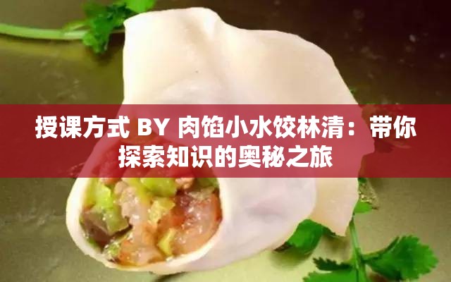 授課方式 BY 肉餡小水餃林清：帶你探索知識的奧秘之旅