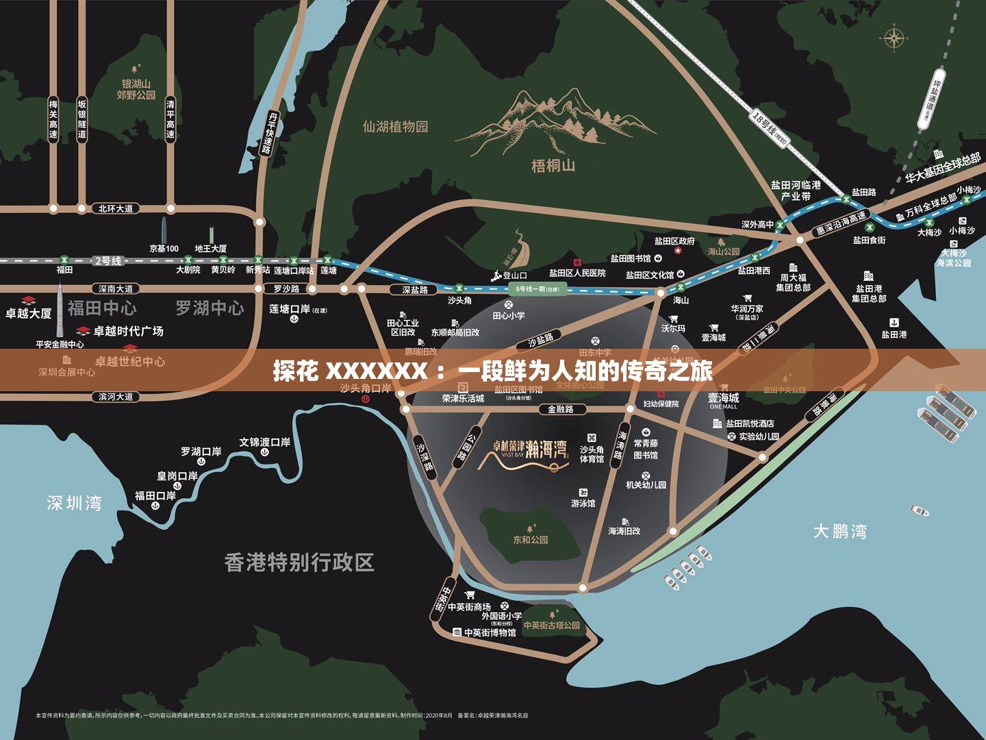 探花 XXXXXX ：一段鮮為人知的傳奇之旅
