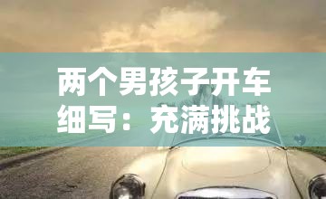 兩個(gè)男孩子開車細(xì)寫：充滿挑戰(zhàn)與未知的公路之旅