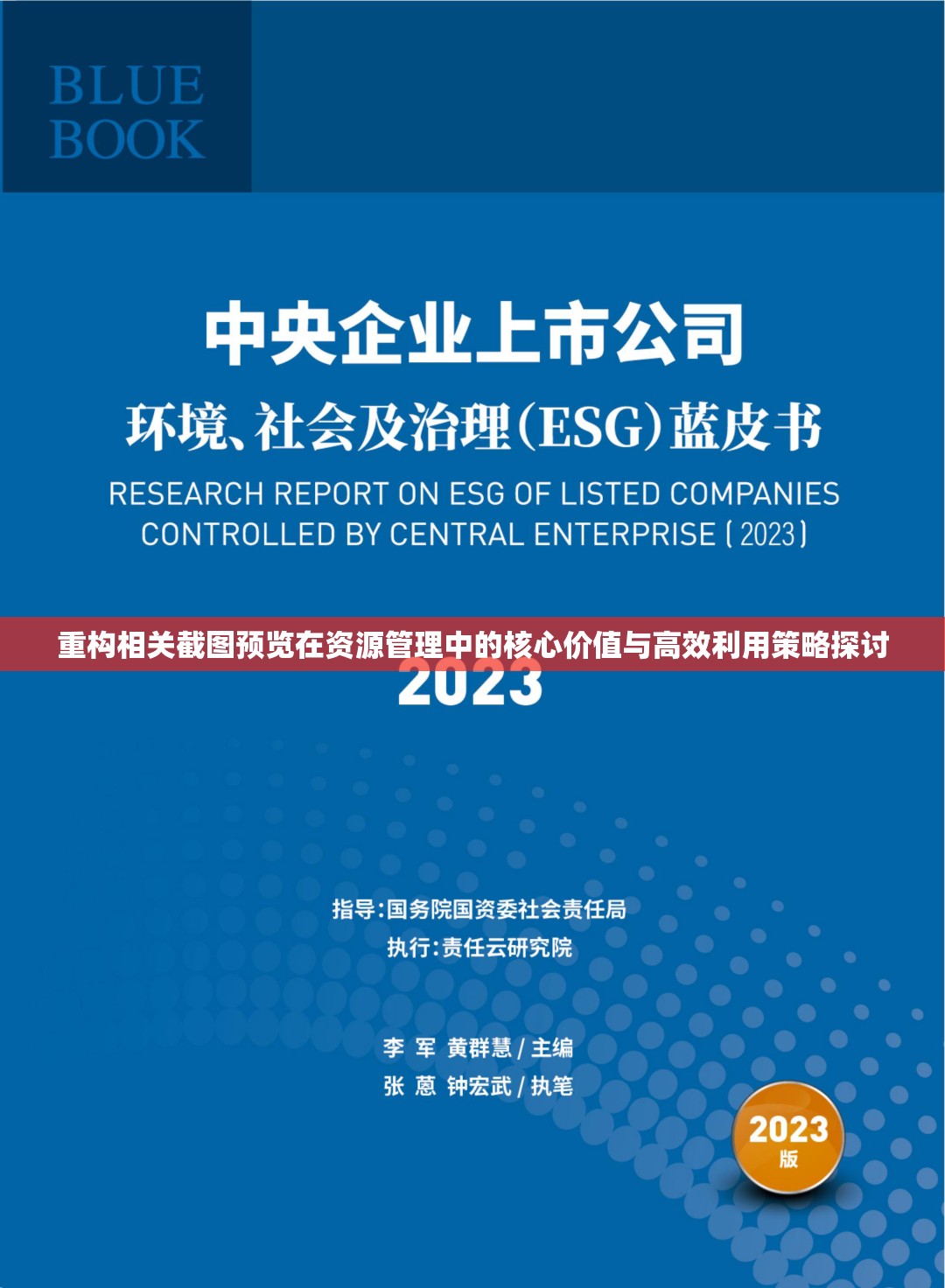 重構(gòu)相關(guān)截圖預(yù)覽在資源管理中的核心價(jià)值與高效利用策略探討