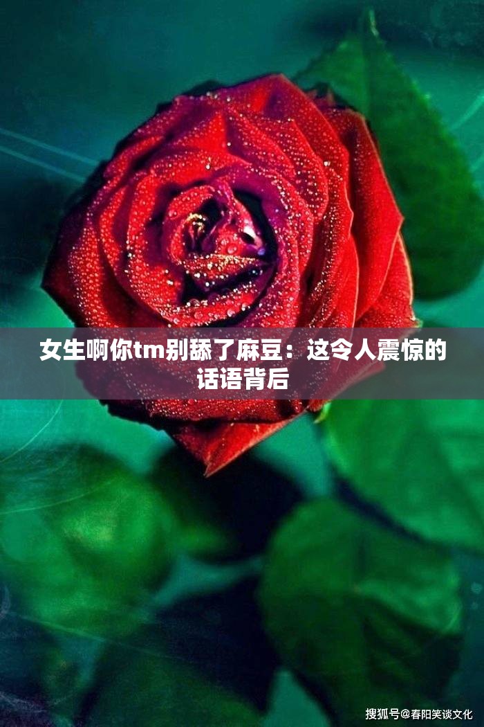 女生啊你tm別舔了麻豆：這令人震驚的話語背后