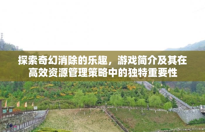 探索奇幻消除的樂趣，游戲簡介及其在高效資源管理策略中的獨特重要性