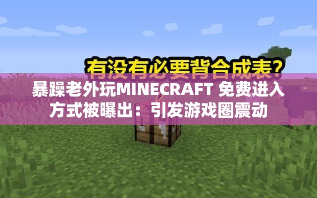 暴躁老外玩MINECRAFT 免費進入方式被曝出：引發(fā)游戲圈震動