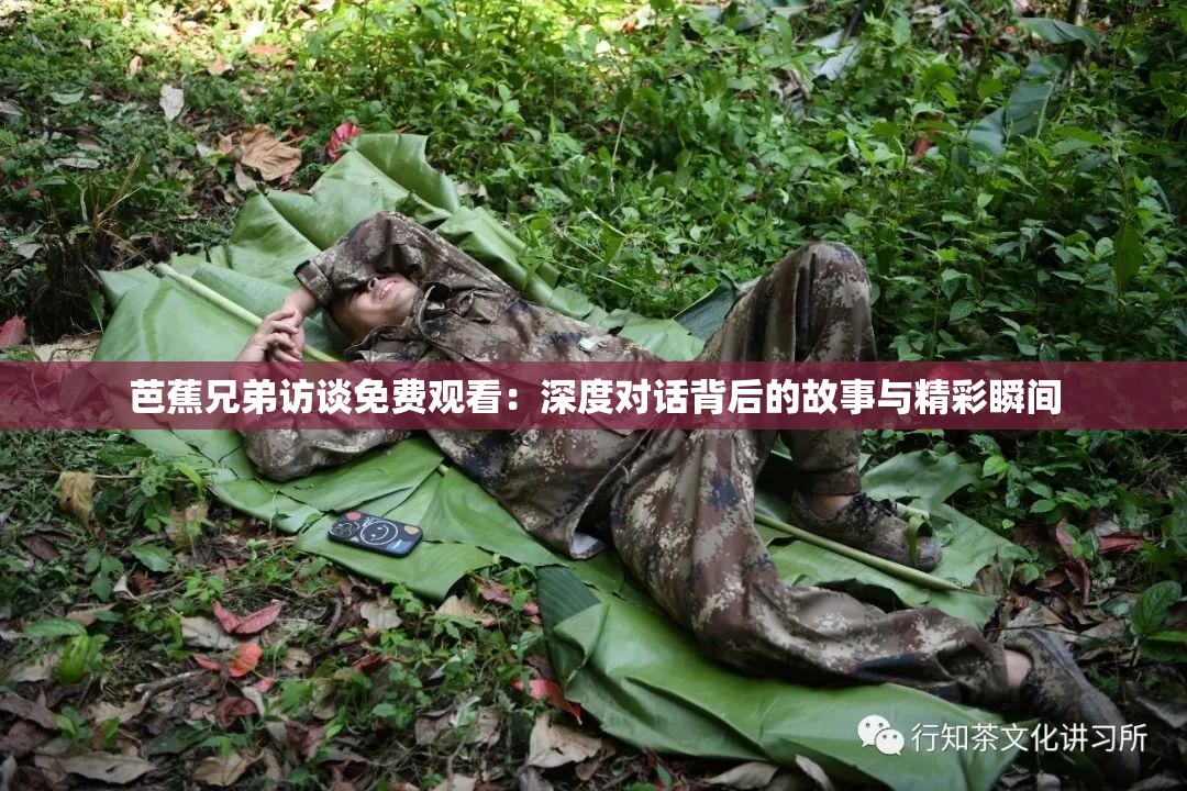 芭蕉兄弟訪談免費觀看：深度對話背后的故事與精彩瞬間