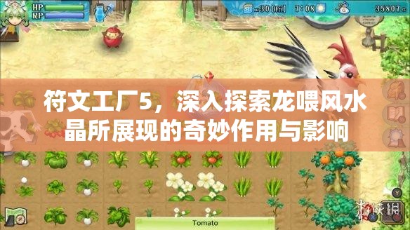 符文工廠5，深入探索龍喂風(fēng)水晶所展現(xiàn)的奇妙作用與影響