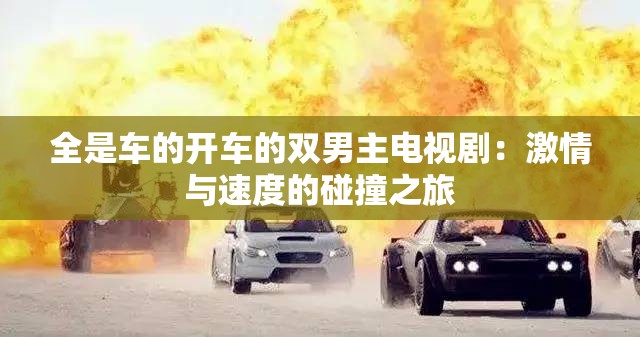 全是車的開車的雙男主電視?。杭で榕c速度的碰撞之旅