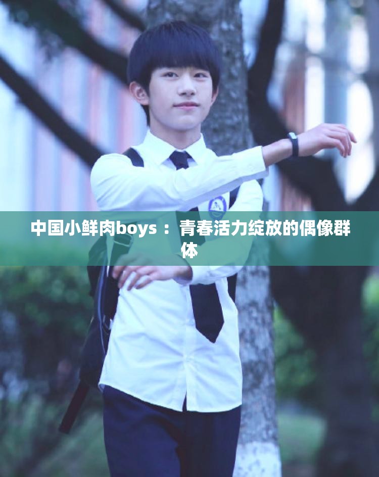 中國小鮮肉boys ：青春活力綻放的偶像群體
