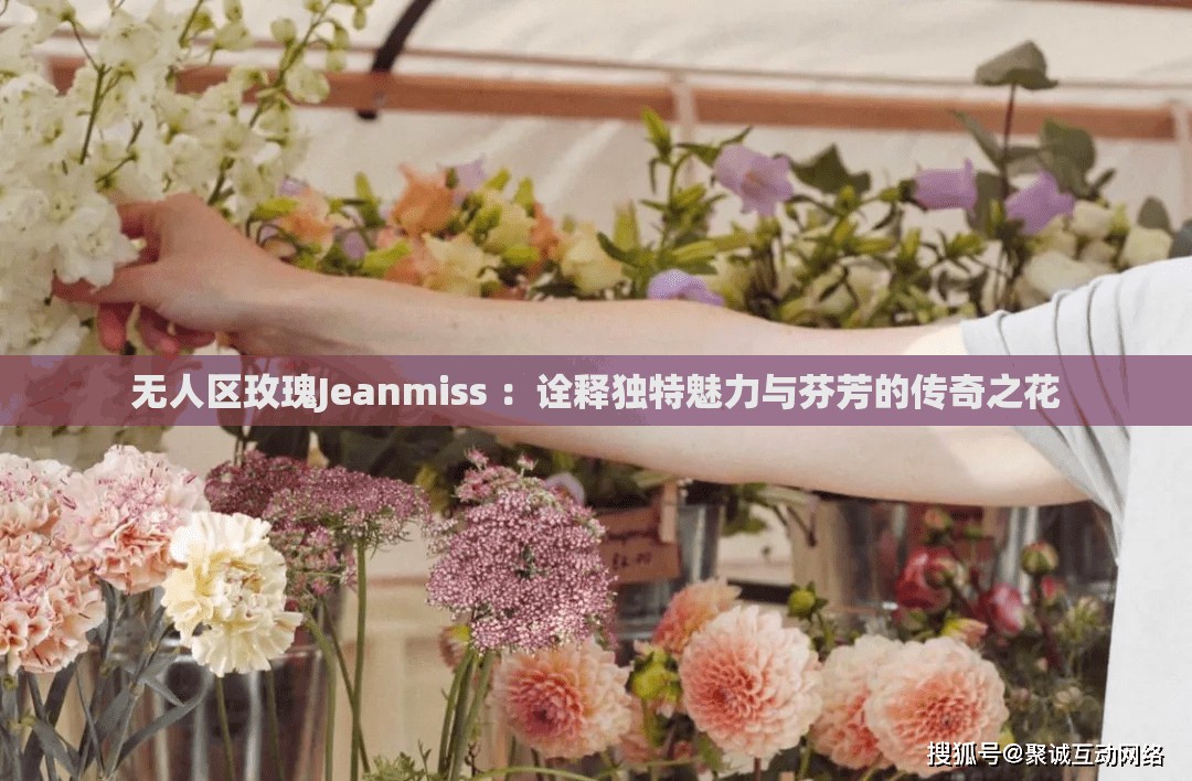無人區(qū)玫瑰Jeanmiss ：詮釋獨特魅力與芬芳的傳奇之花