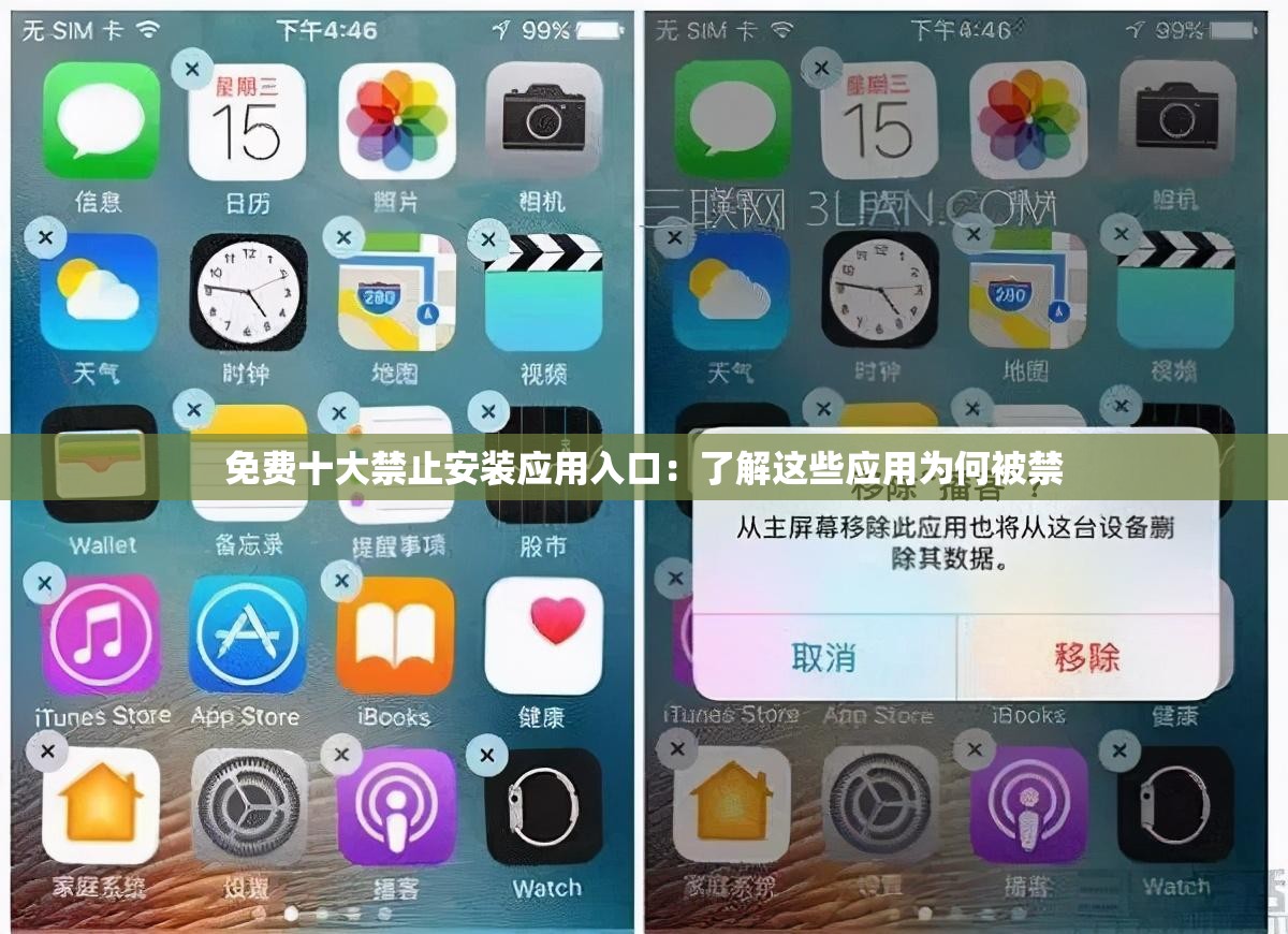 免費十大禁止安裝應(yīng)用入口：了解這些應(yīng)用為何被禁