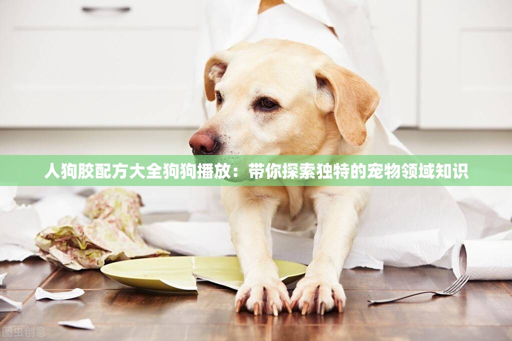 人狗膠配方大全狗狗播放：帶你探索獨(dú)特的寵物領(lǐng)域知識