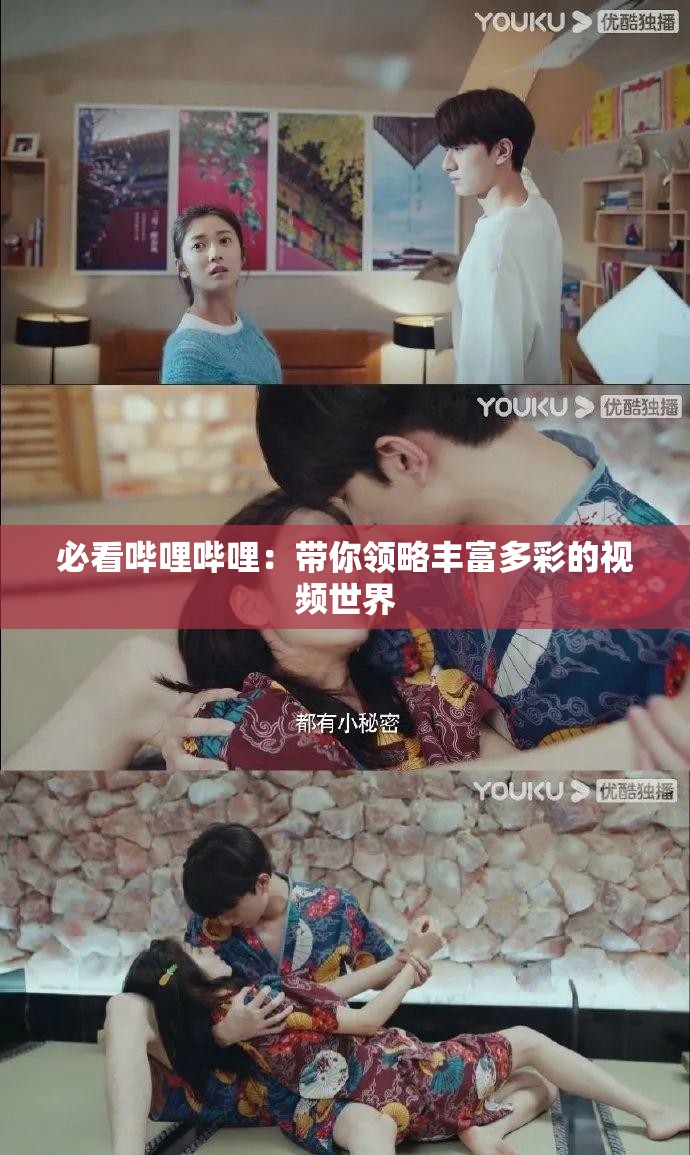 必看嗶哩嗶哩：帶你領(lǐng)略豐富多彩的視頻世界