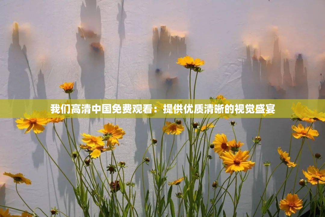 我們高清中國免費(fèi)觀看：提供優(yōu)質(zhì)清晰的視覺盛宴