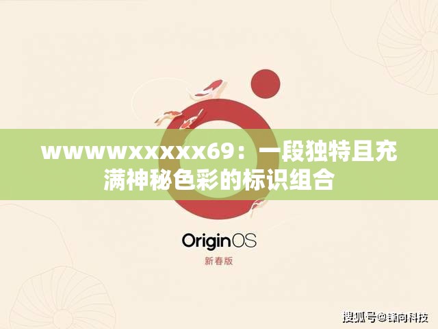 wwwwxxxxx69：一段獨(dú)特且充滿(mǎn)神秘色彩的標(biāo)識(shí)組合