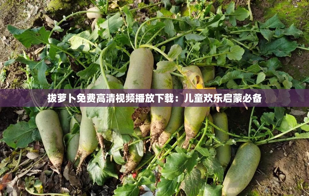 拔蘿卜免費(fèi)高清視頻播放下載：兒童歡樂啟蒙必備